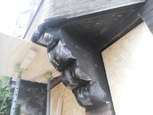 DSCN3019